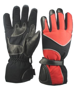 Ski Gloves