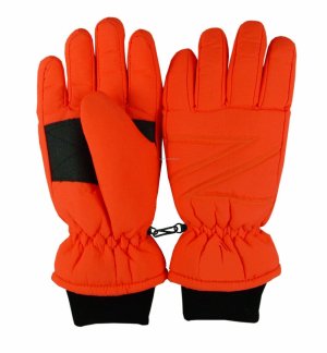 Ski Gloves