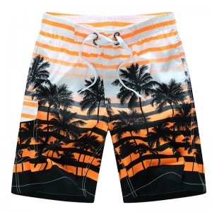 Board Shorts