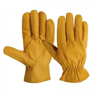 Driver Gloves