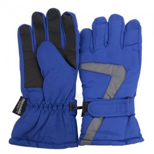 Ski Gloves