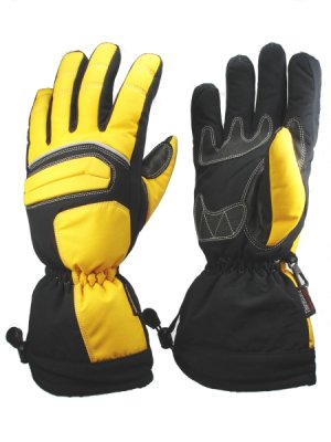 Ski Gloves